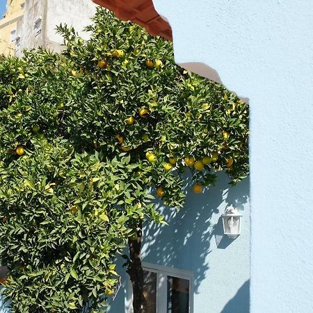 Proa D'Alfama Guest House Lisbon Exterior photo