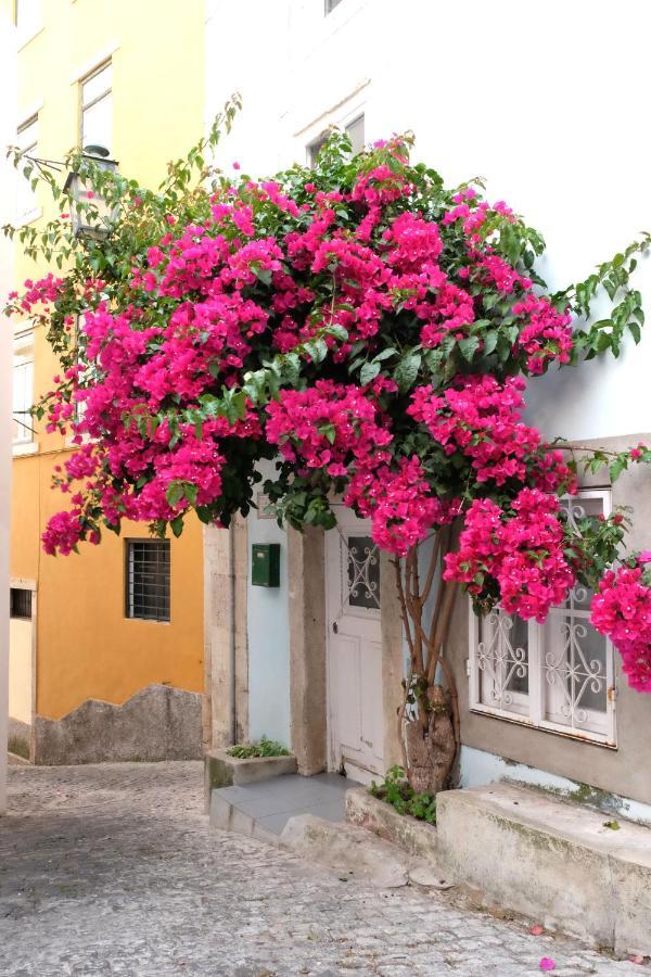 Proa D'Alfama Guest House Lisbon Exterior photo