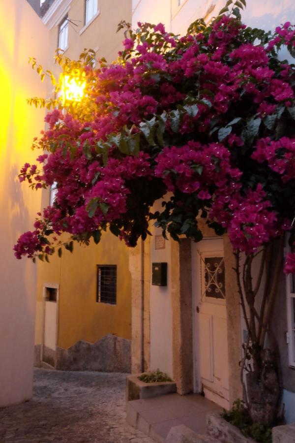 Proa D'Alfama Guest House Lisbon Exterior photo